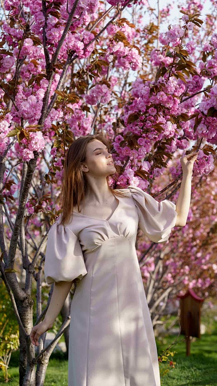 Любование цветущей сакурой